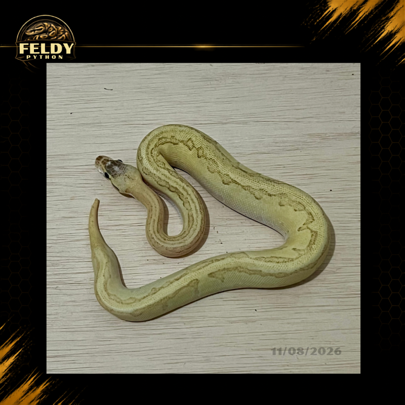 Super Pastel Fire Pinstripe