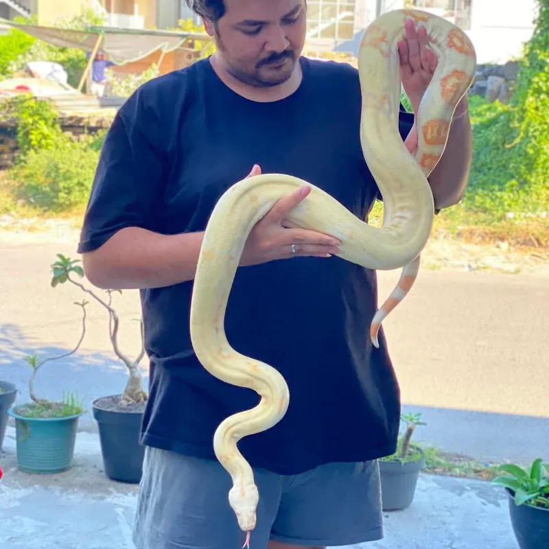 Albino Kahl