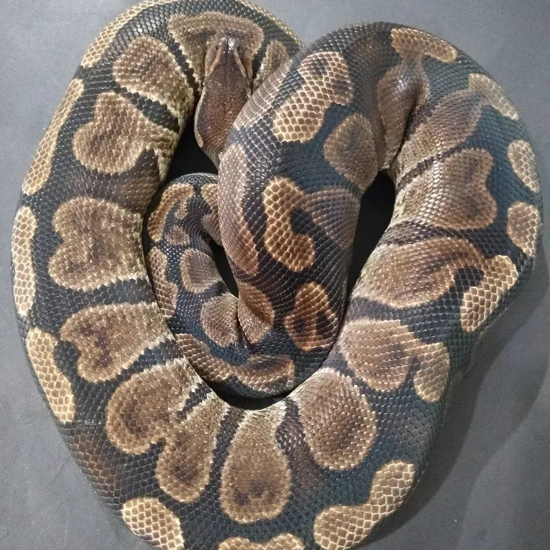 GHI