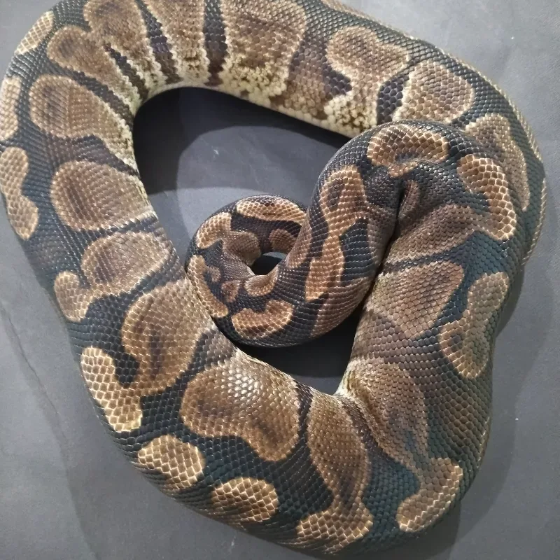 GHI