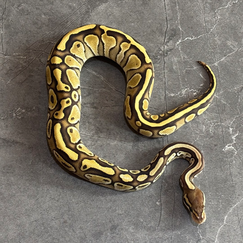 Butter Het Ultramel