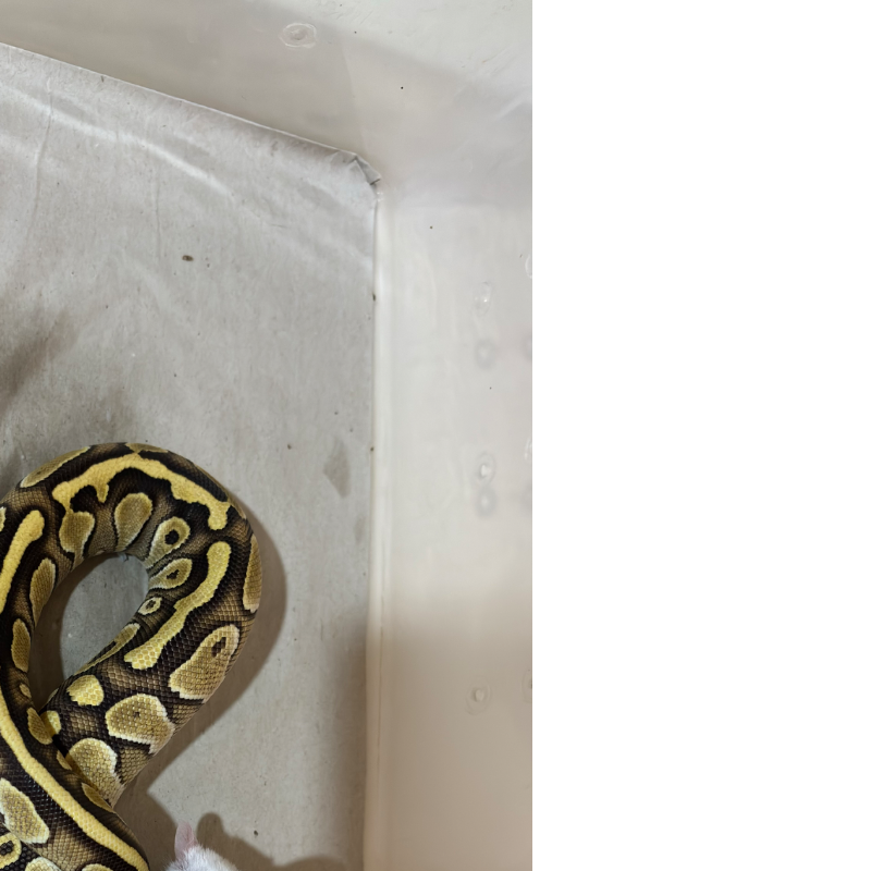 Butter Het Ultramel