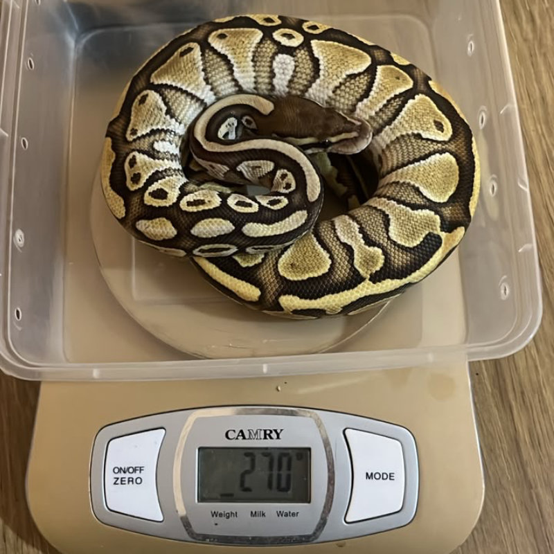 Butter Het Ultramel