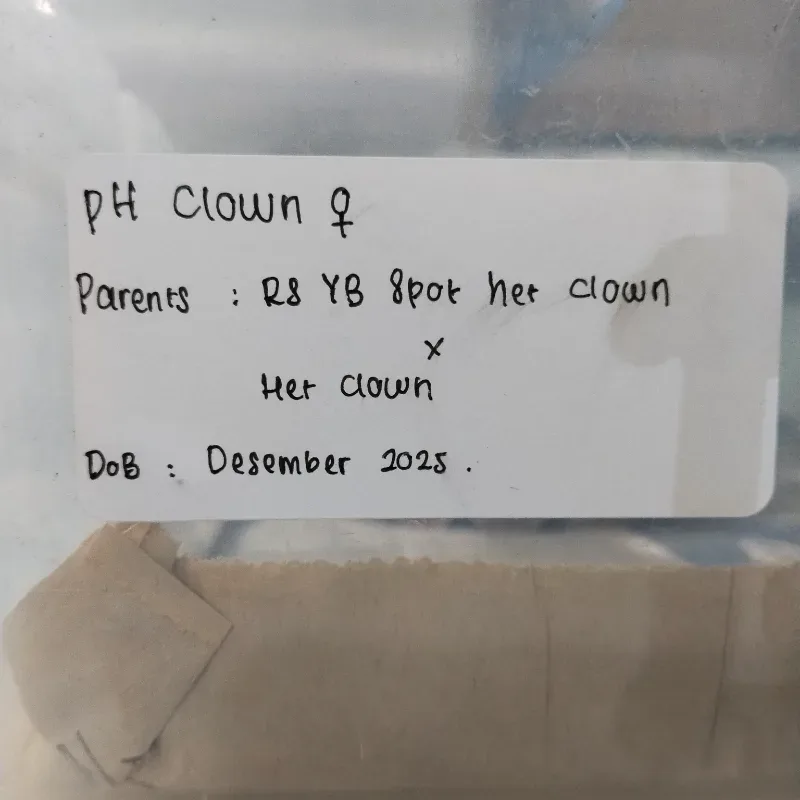 Posibble het Clown