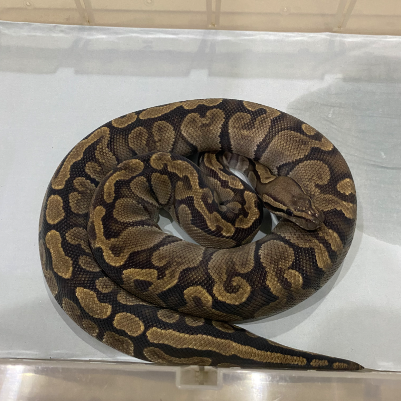 GHI