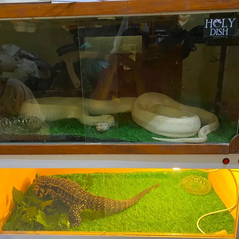 Albino Granite Prooven