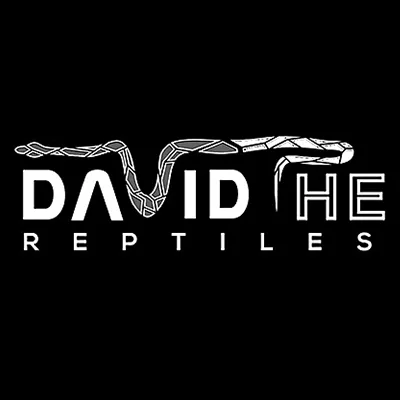 David The Reptiles