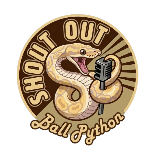 Shout out Ball Python