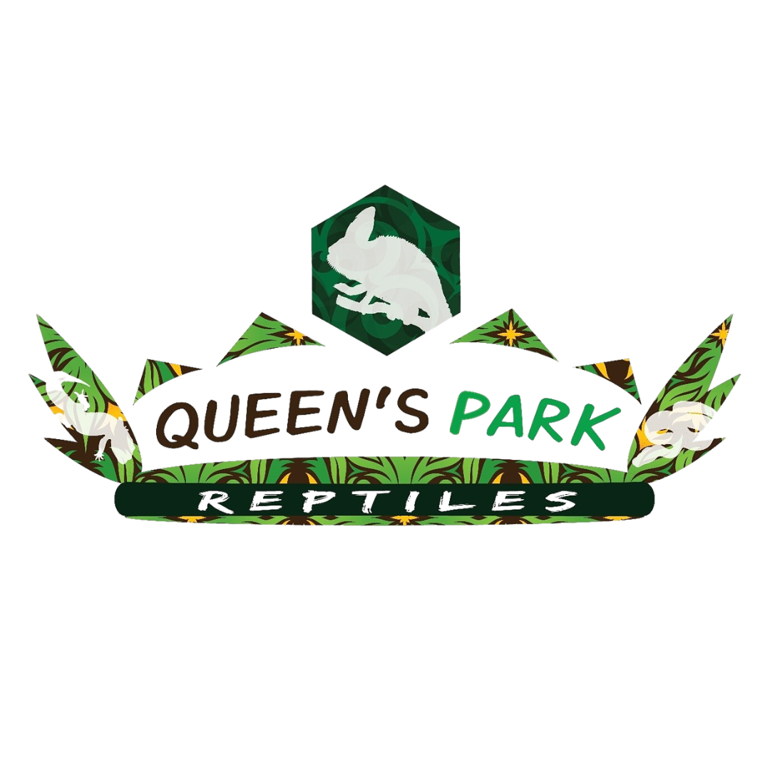 Queen's Park Reptiles