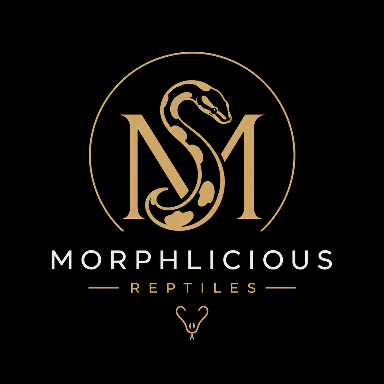 Morphlicious