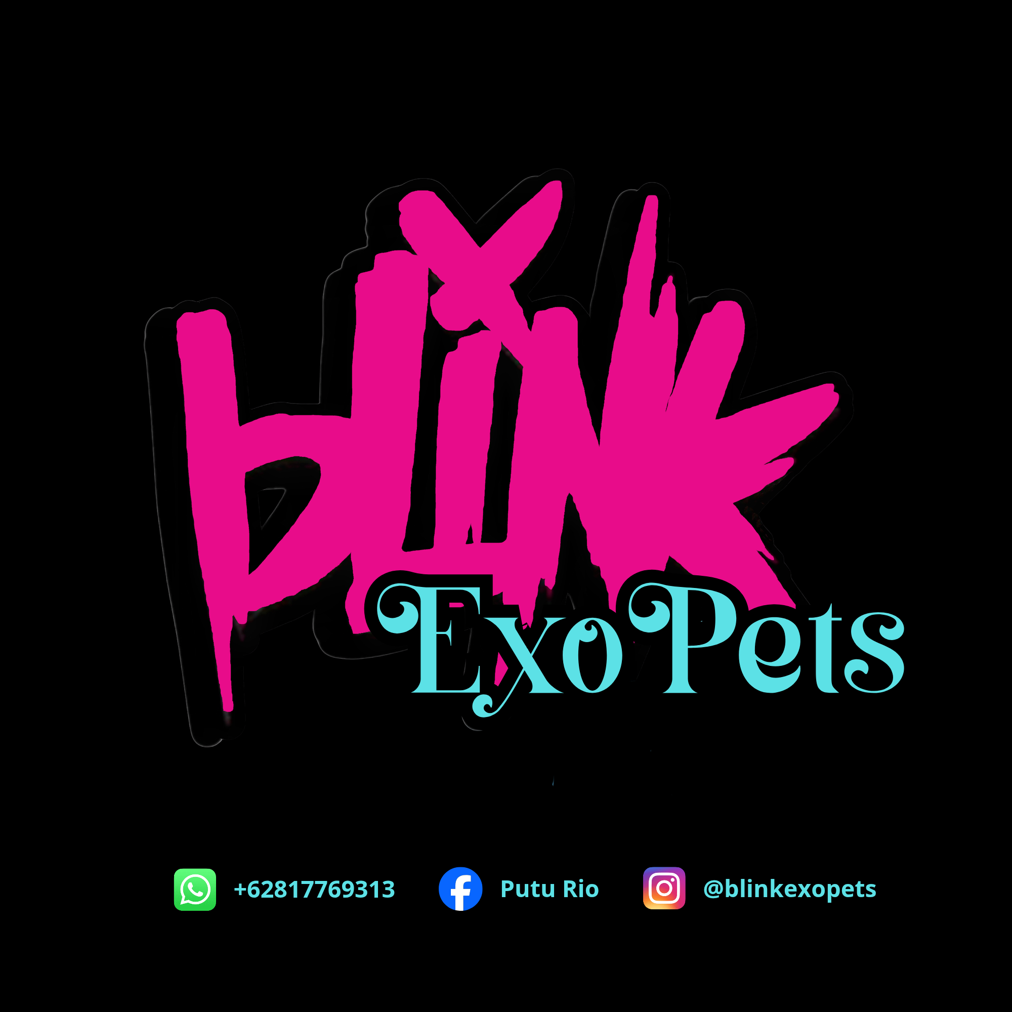Blink ExoPets