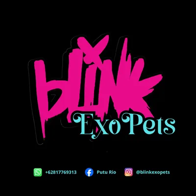 Blink ExoPets