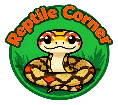 Reptile Corner