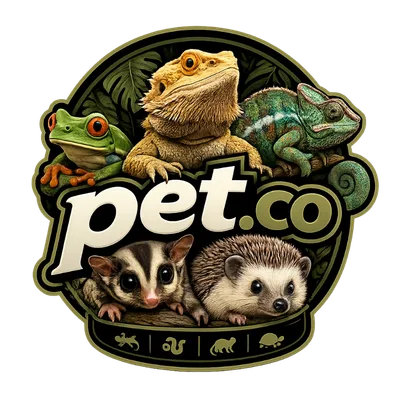 Pet.co