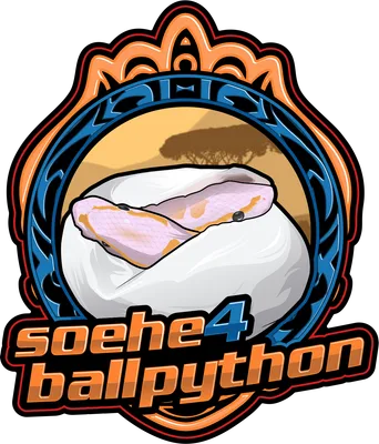 soehe4ballpython