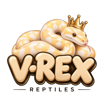 V-Rex Reptiles