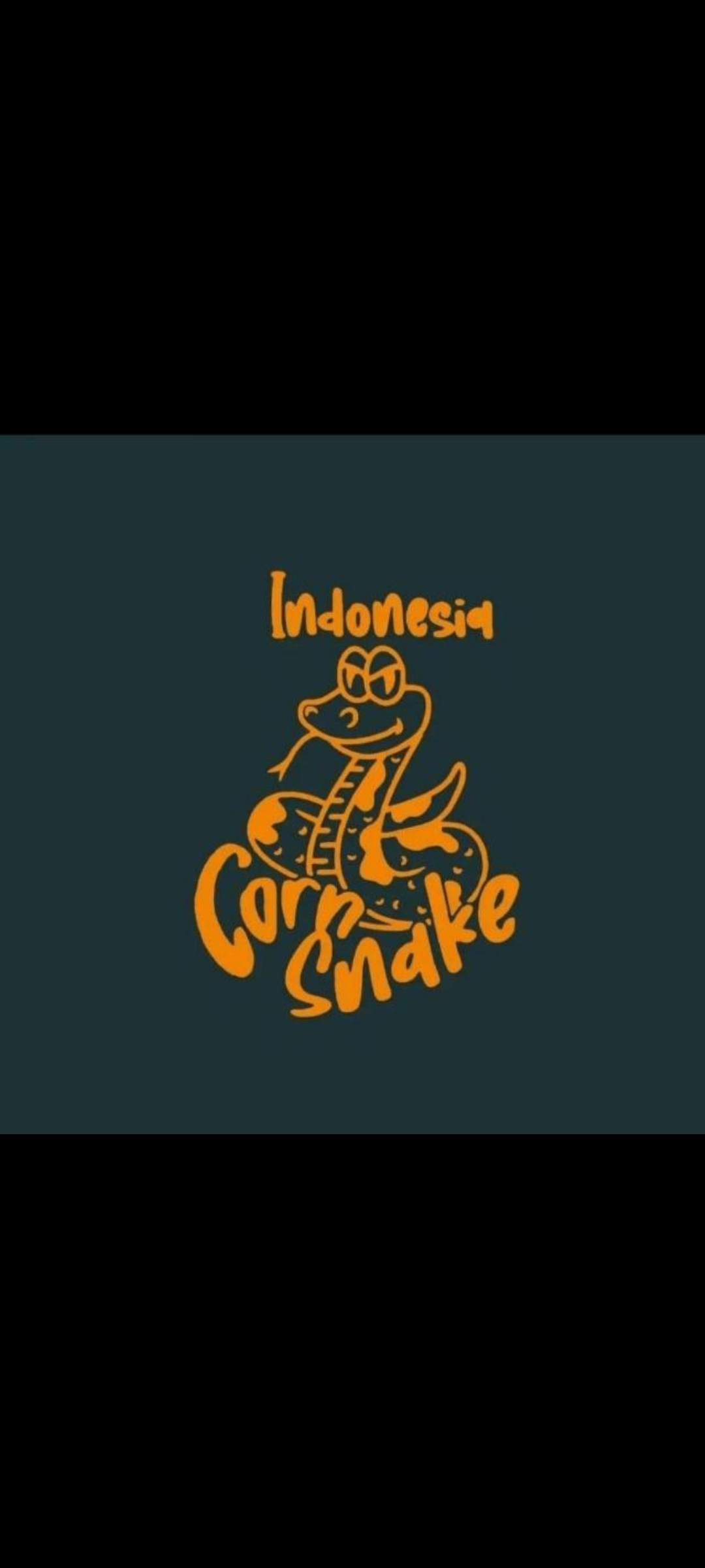 IndoCornSnake