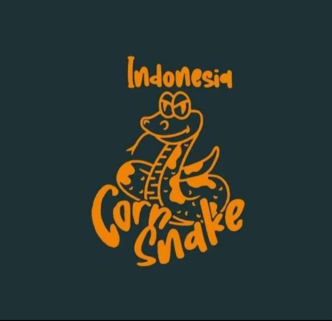 IndoCornSnake