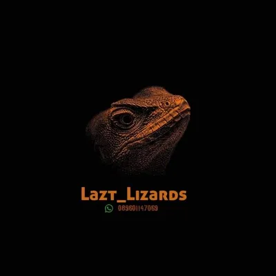 Lazt_Lizards