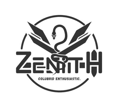 ZENITH