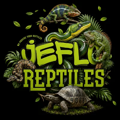 Jeflo Reptiles
