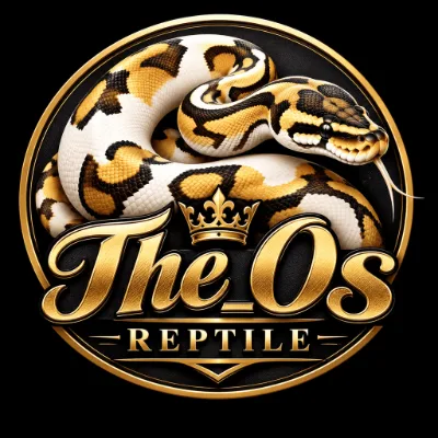The_Os Reptile