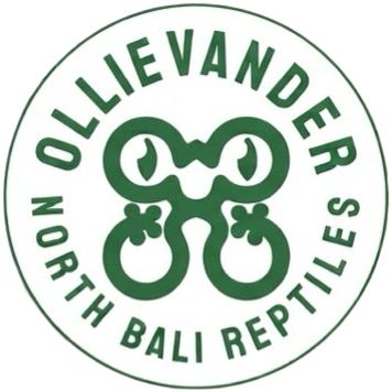 olliereptiles