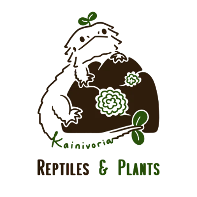 Kainivoria Reptile & Plants