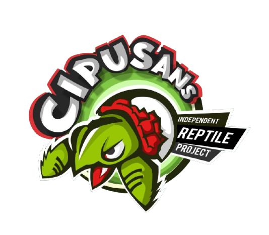 CIPUSANS REPTILE