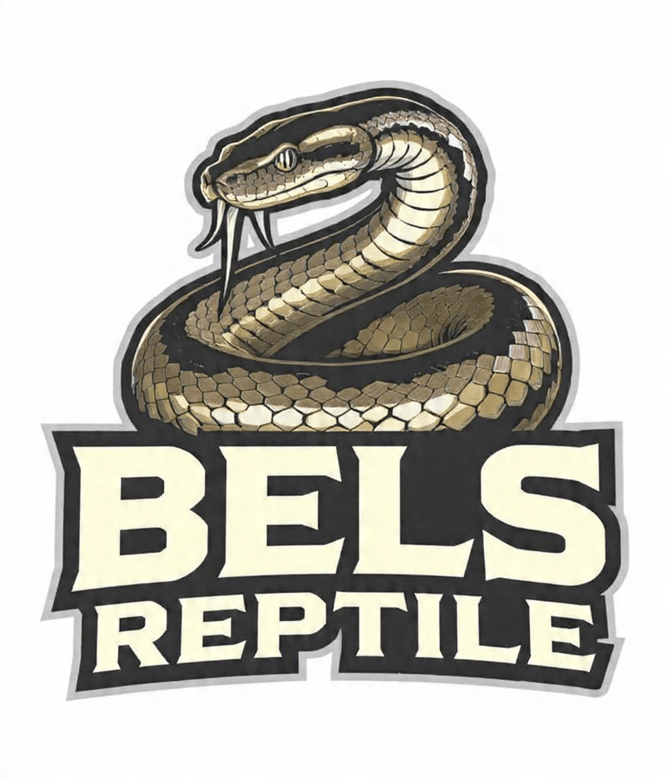 Bels Reptile