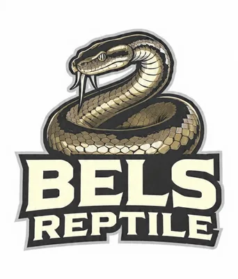 Bels Reptile