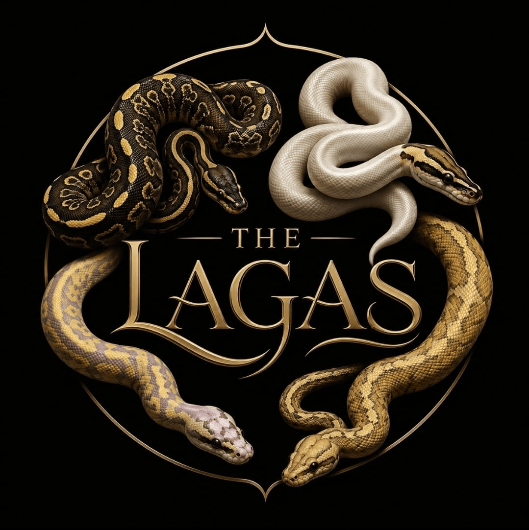 Lagas Reptile