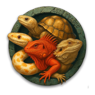 ascedragon reptile