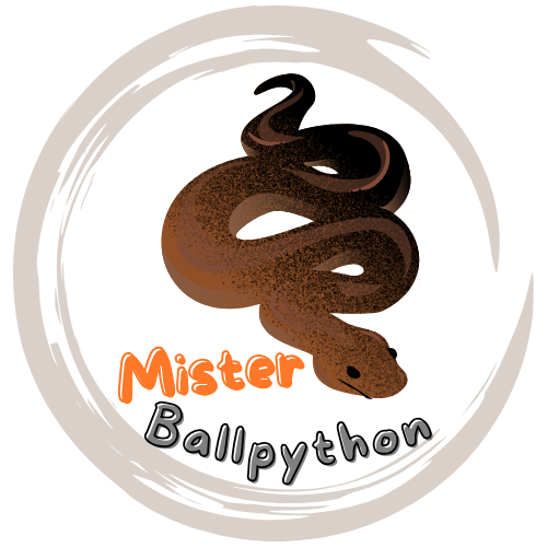 Mister Ballpython