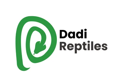 Dadi Reptiles