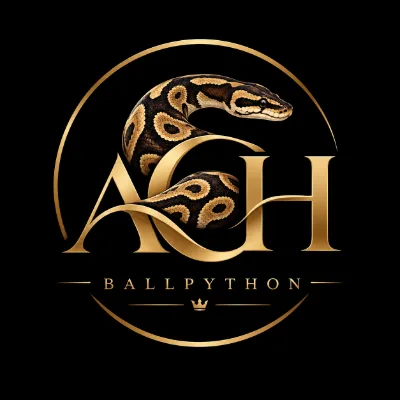 Ach_Ballpython