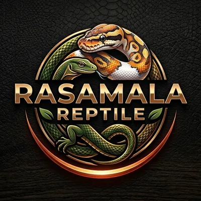 Rasamala Reptile