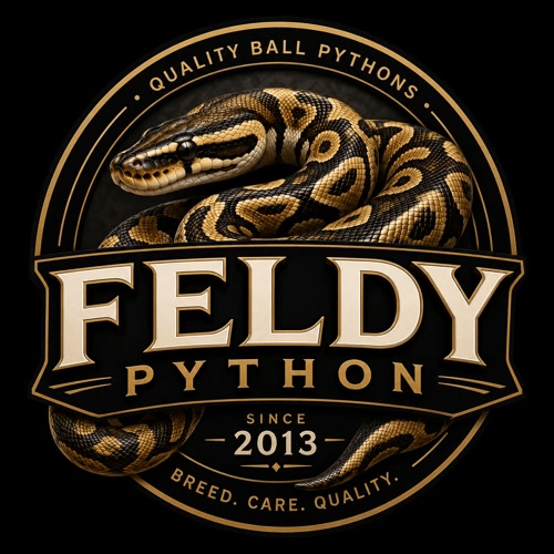 Feldy Python
