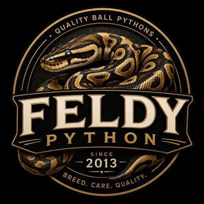 Feldy Python