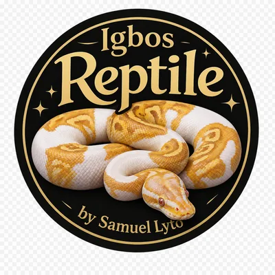 Igbos Reptile