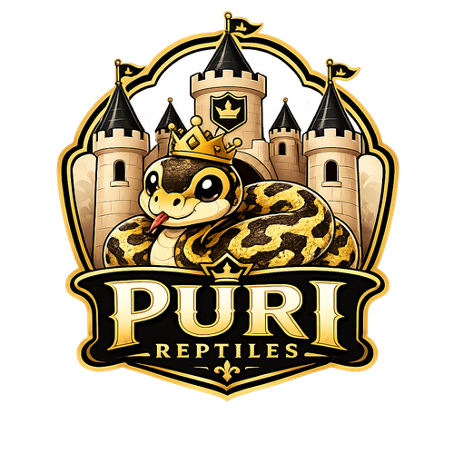 Puri Reptiles
