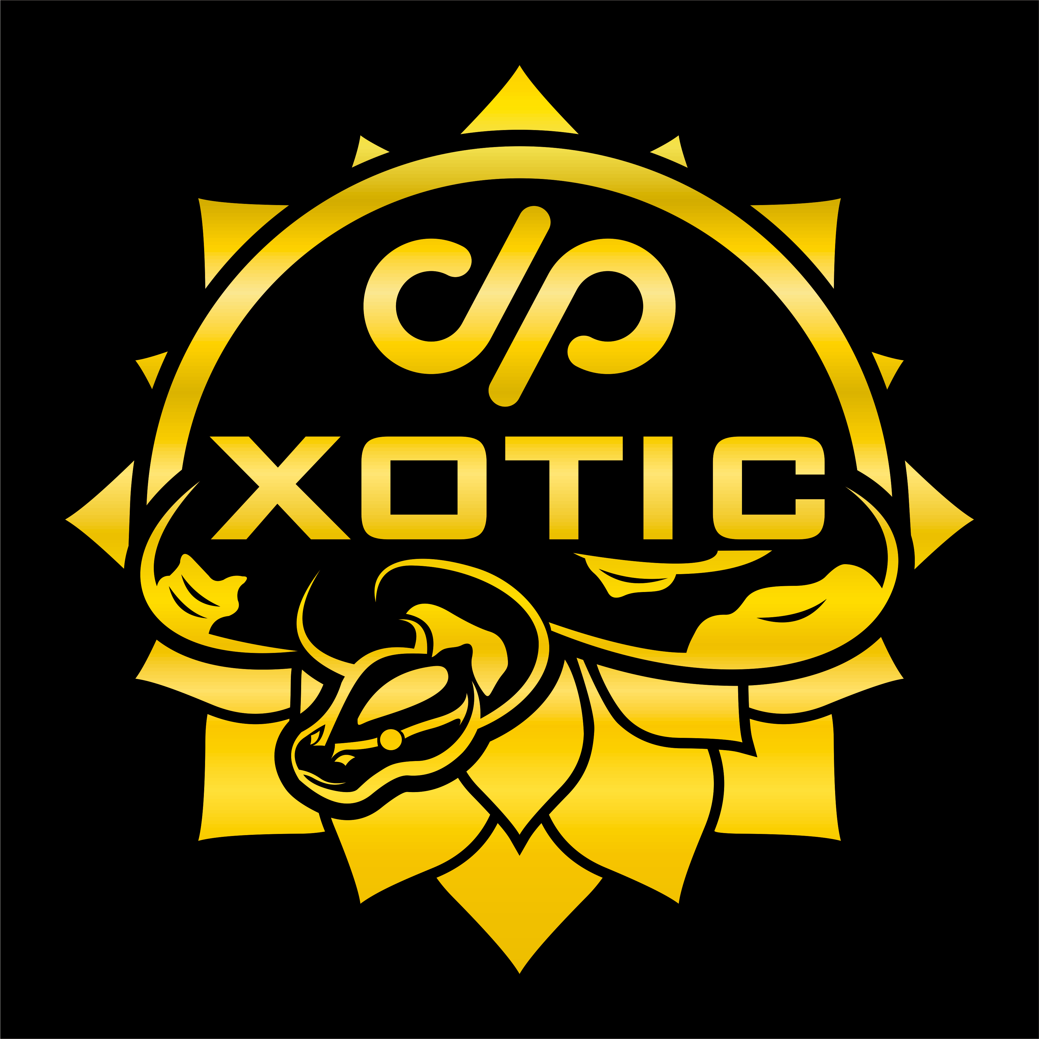 JP XOTIC ID