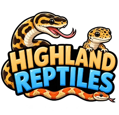 HIGHLAND REPTILE