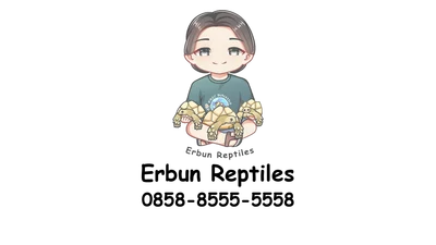 Erbun Reptile