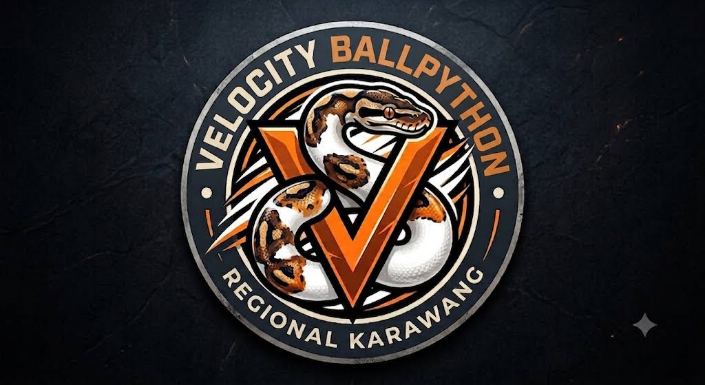 Velocity Ballpython